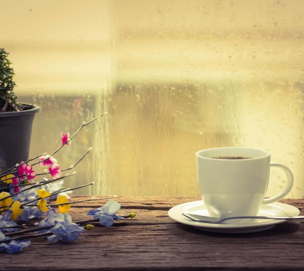 Кружка чая на окне