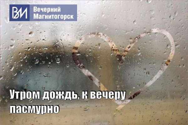 Дождливое утро четверга