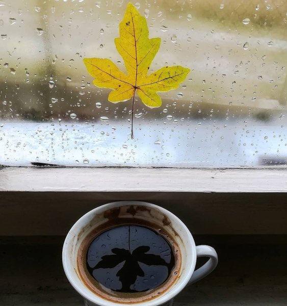 Доброе утро осень дождь за окном