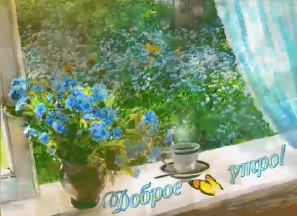 Утро доброе в окошко