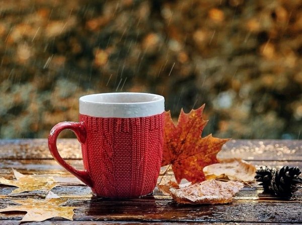 Утро кофе осень