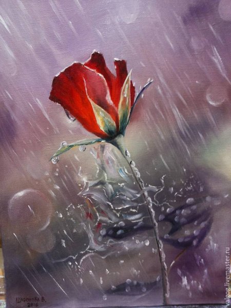 Розы под дождем