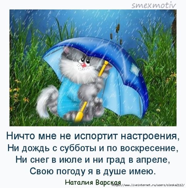 Хорошего настроения в любую погоду прикольные