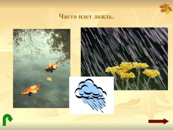 Осенью часто идут дожди