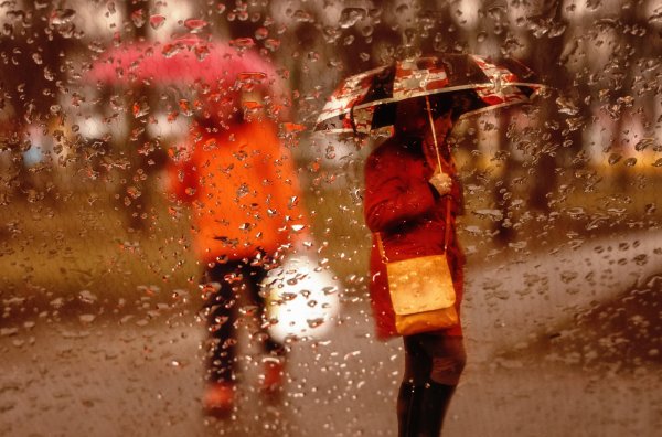 Люди под осенним дождем