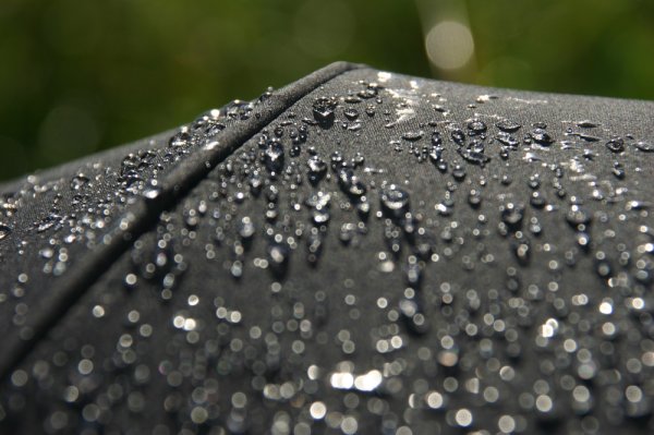 Капли дождя на зонте