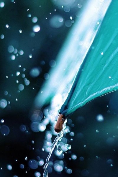 Капли дождя на зонте