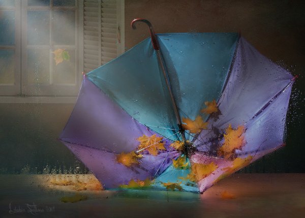 Осень дождь зонт