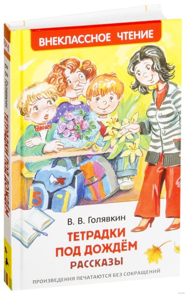 Тетрадки под дождём Виктор Голявкин книга