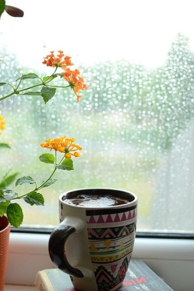 Доброе утро дождливое летнее утро