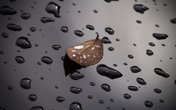 Фон с каплями воды