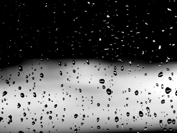 Черные капли на белом фоне