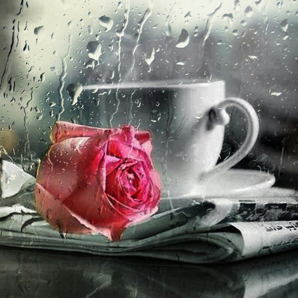 Прекрасного дождливого утра