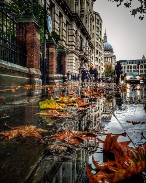 Осенний город