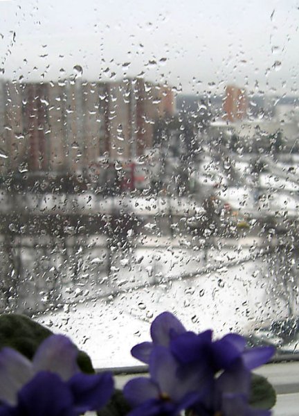 Дождик зимой