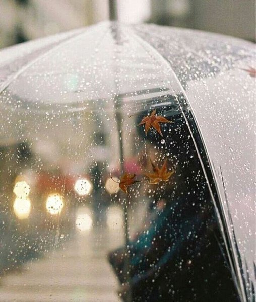 Доброе дождливое утро