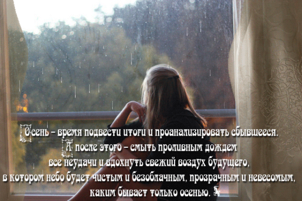 Высказывания про дождь и жизнь