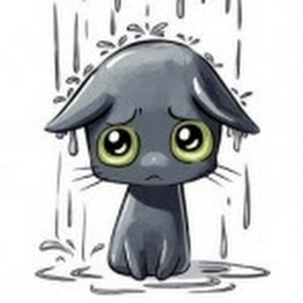 Грустный кот под дождем