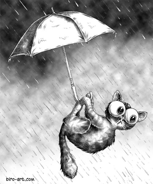 Грустный кот под дождем