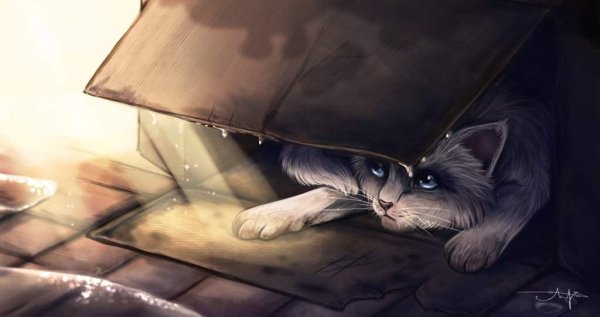 Одинокий кот арт