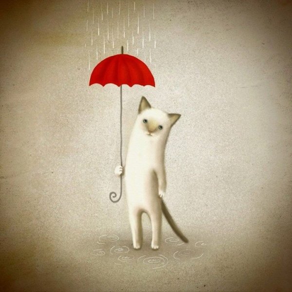 Зонт с котом