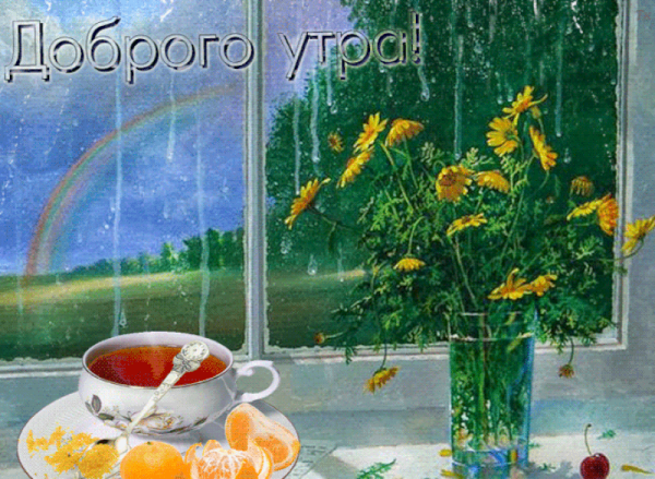 Доброе дождливое летнее утро