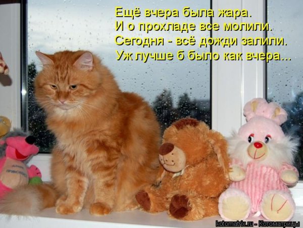 Опять дождь с надписями