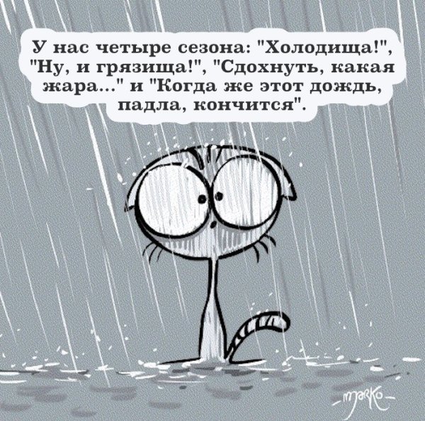 Шутки про дождь