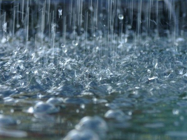 Ливневые дожди