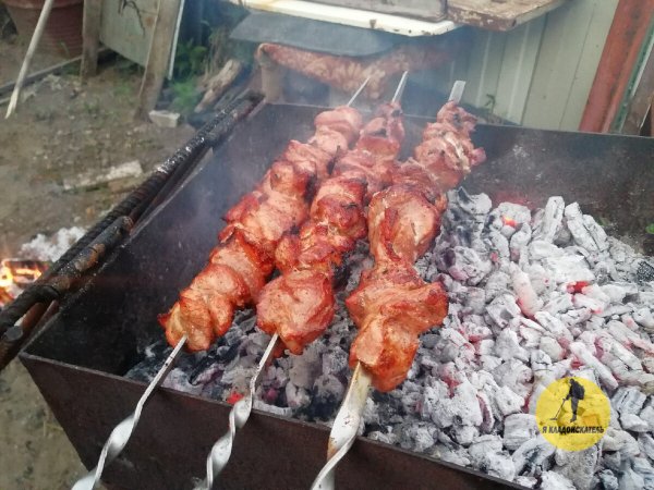 Дикари на шашлыках