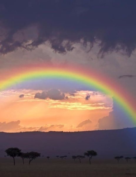 После дождя всегда Радуга