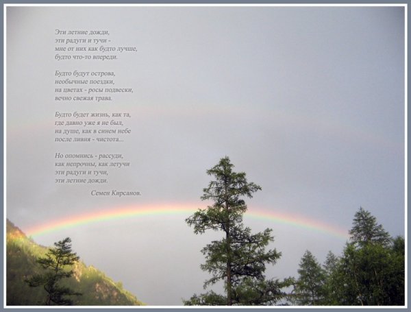 Эти летние дожди стихи