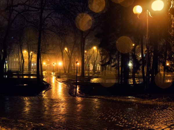 Ночной осенний город