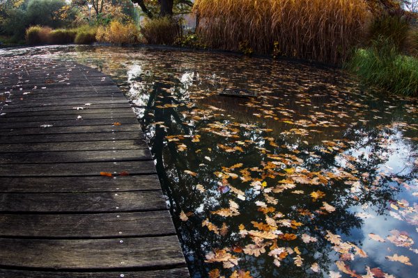 Осень вода
