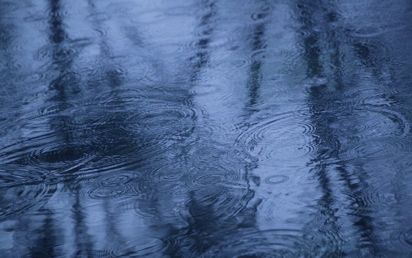 Лужа воды