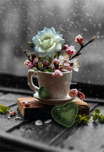 Душевные цветы