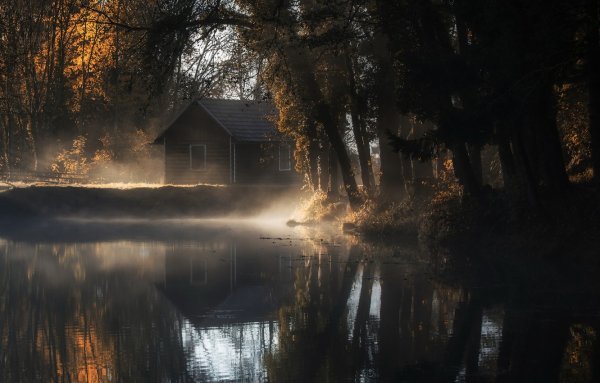 Берег озера ночью