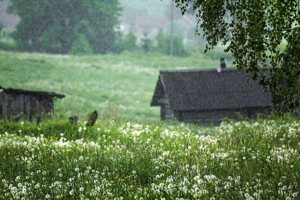 Июль в деревне