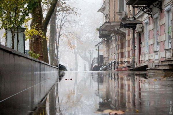 Дождливая улица