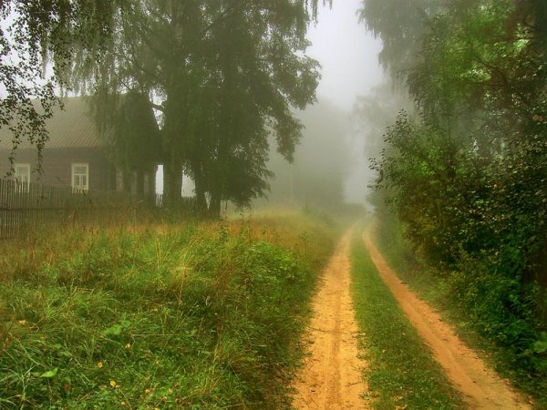 Летнее утро в деревне