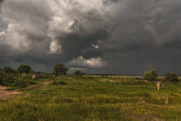 Природа перед грозой