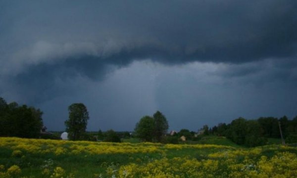 Перед грозой в деревне