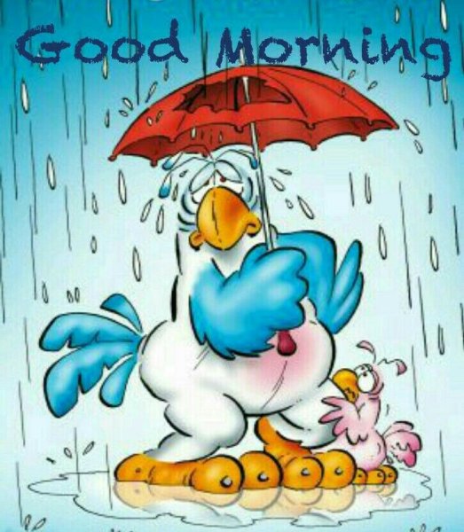 С добрым дождливым утром прикольные