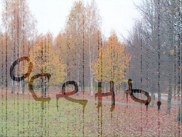 Дождливое бабье лето