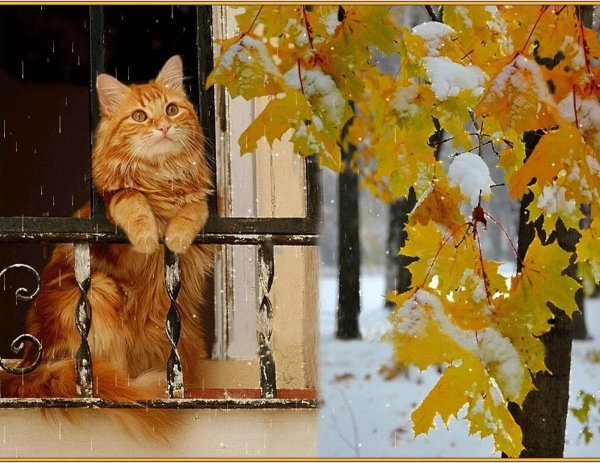 С последним днем осени