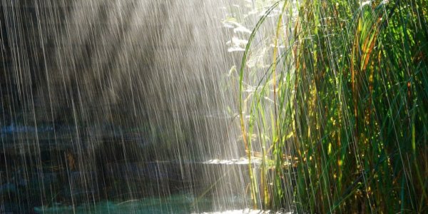 Кратковременный дождик