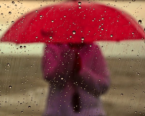 Красные слёзы под дождём