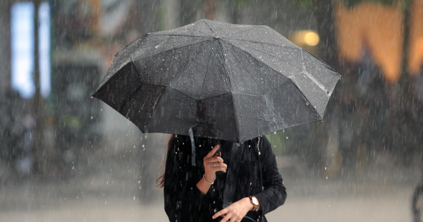 Дождь и ветер