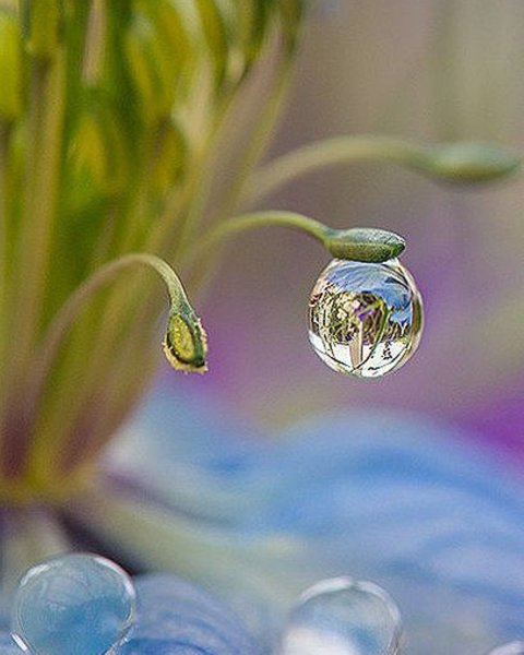 Капля воды