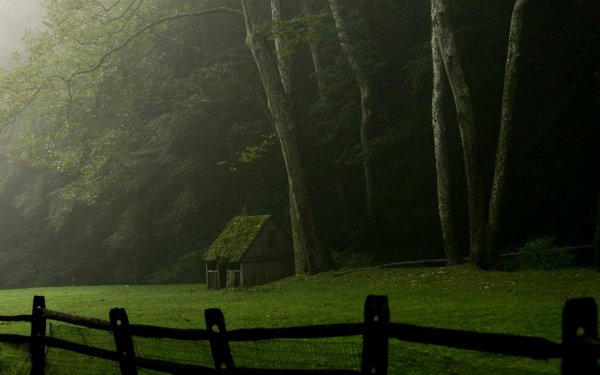 Домик в лесу в тумане